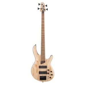 Cort Artisan Series B4 Element 4 String Bass Guitar