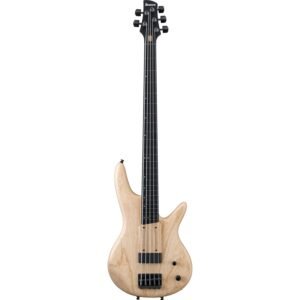 Ibanez GWB1005 Gary Willis Signature 5 String Fretless Bass Guitar