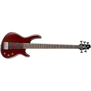 Cort Action-V 5-String Bass Guitar Bundle