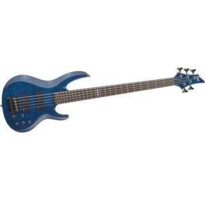 ESP LTD B-155DX 5-String Bass Guitar