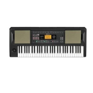 Korg EK-50 61-Key Entertainer Arranger Keyboard