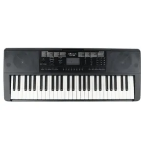 Vault KT-54 Keytone 54-Key Keyboard With Gigbag, Polishing Cloth, Online Lessons & Ebook